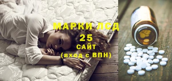 PSILOCYBIN Алзамай