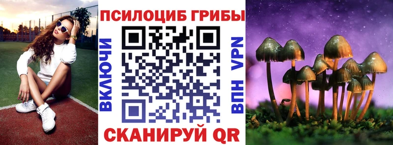 ссылка на мегу ONION  закладки  Волгоград  Псилоцибиновые грибы Psilocybe 