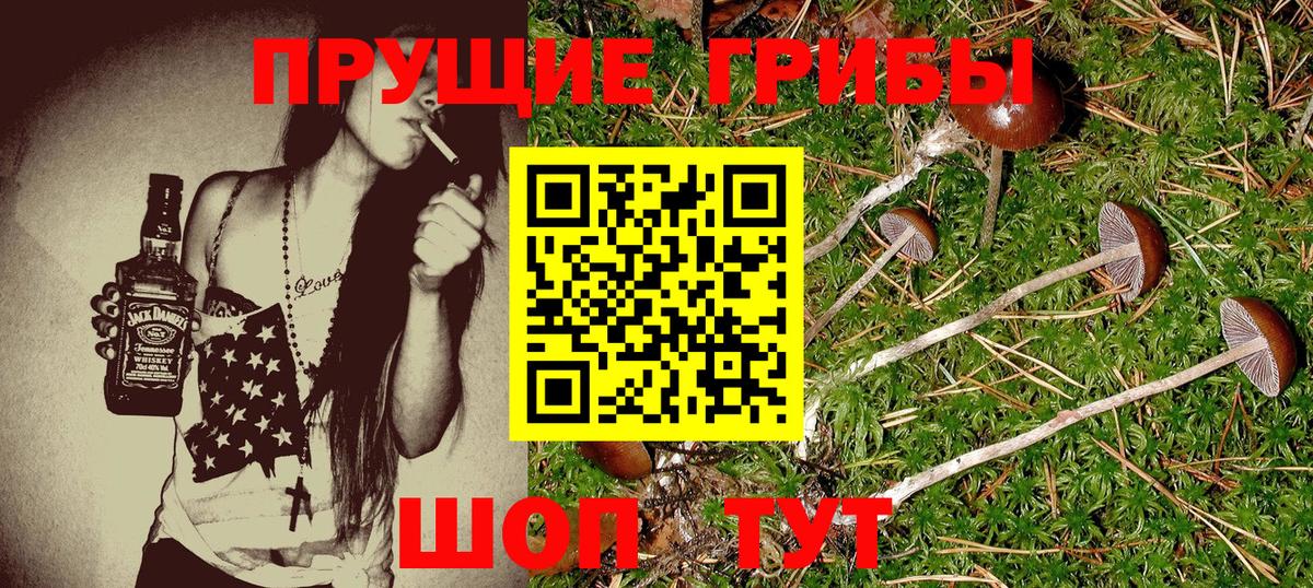 Галлюциногенные грибы мицелий  Псилоцибиновые грибы GOLDEN TEACHER  Волгоград  даркнет сайт  Вход с VPN 