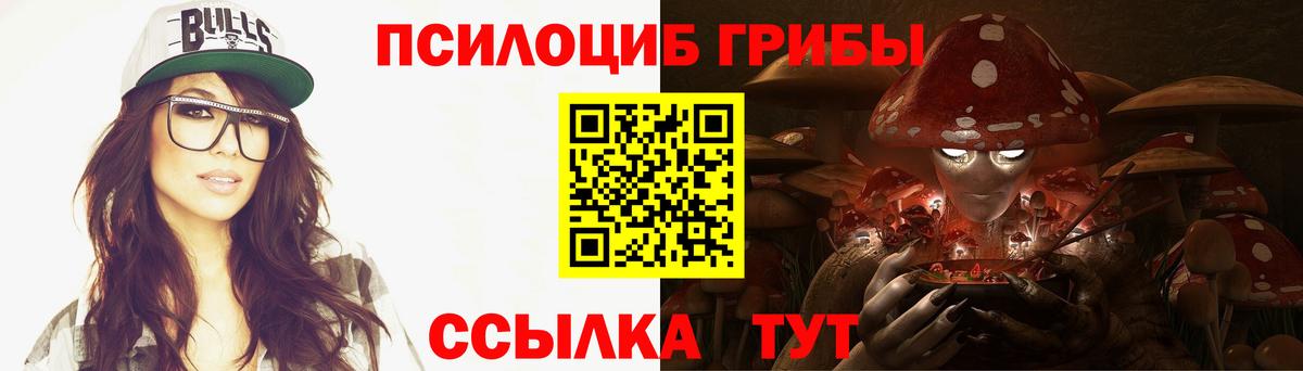Псилоцибиновые грибы Cubensis Волгоград